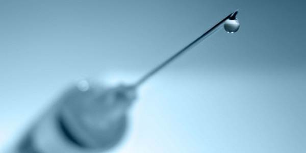 Milas'ta domuz gribi ��phesi