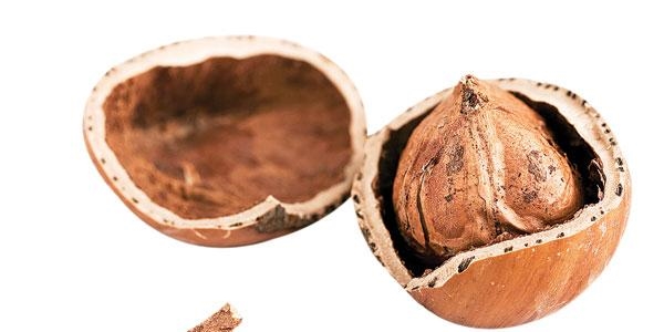 F�nd���n �nlenemez y�kseli�i