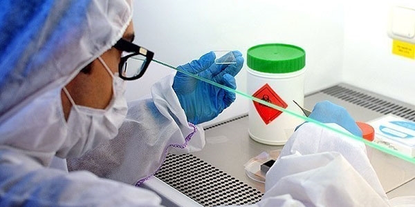 Çinli bilim adamları Ebola'nın nasıl bulaştığını buldu
