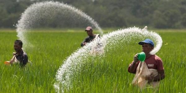 'G�brede KDV oran� y�zde 18'den y�zde 1'e indirildi'