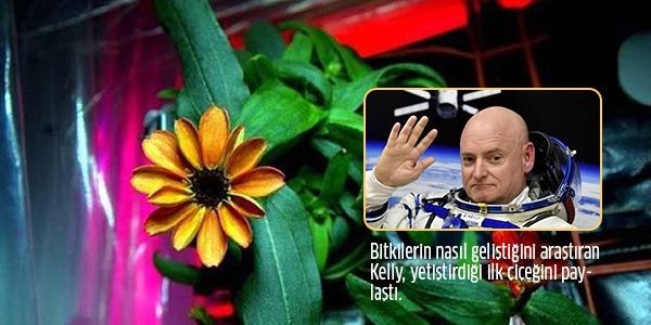 Uzayda a��lan ilk �i�e�in foto�raf�n� payla�t�