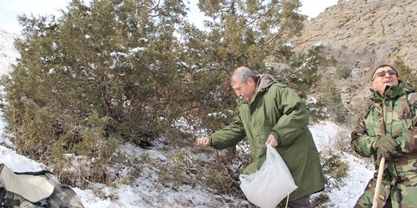 Yaban hayat�na dondurucu so�ukta yem takviyesi