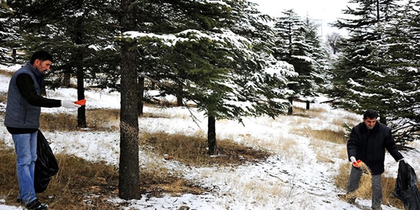 Sokak hayvanlar� ve ku�lar i�in do�aya yem b�rak�ld�