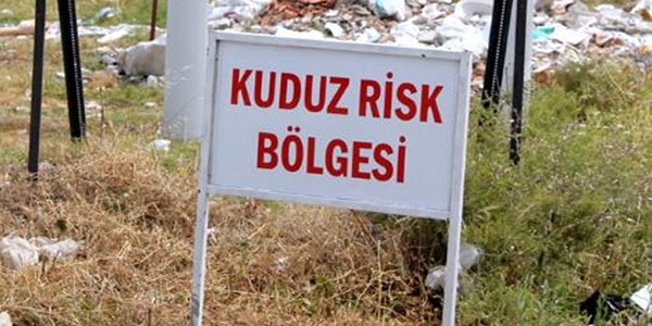 Hatay'da kuduz karantinası