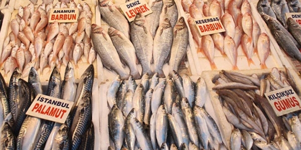 Kar ya�d�, bal�k fiyatlar� y�kseldi