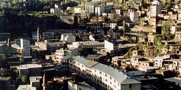 Amerikalı şirketler Bitlis'i inceliyor