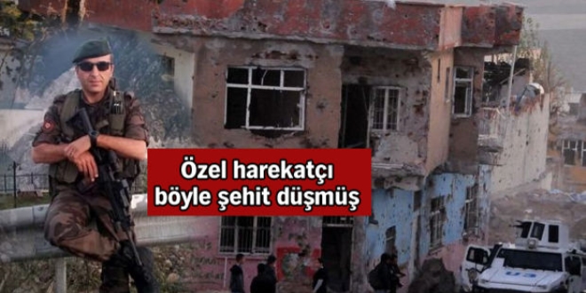 Silvan'da '�zy�netim' ilan�na ili�kin soru�turma tamamland�