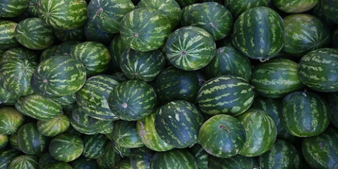 Ankaralılar en çok karpuz tüketti