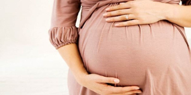 Hamilelere Zika virüsü uyarısı