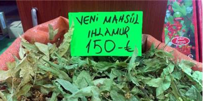 Ihlamur fiyatları tavan yaptı!
