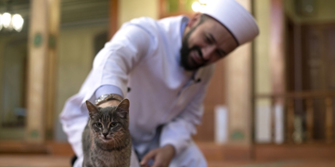 Kedi dostu imam taktir toplamaya devam ediyor/Video