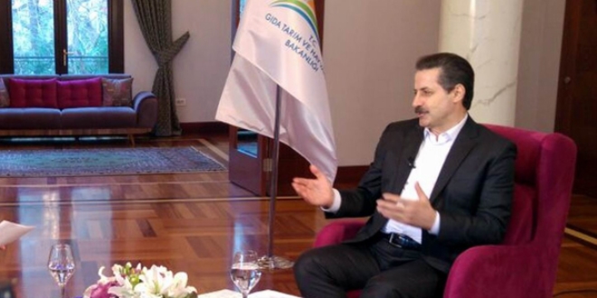 Çelik: Arınç'ın açıklamalarını doğru bulmuyorum