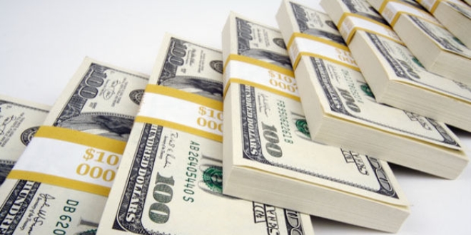 Kamu, 2015 yılında yüzde 100 dolarcı çıktı