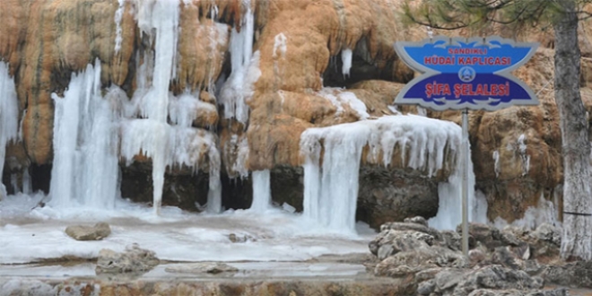 H�dai Kapl�calar� a��r� so�uktan dondu