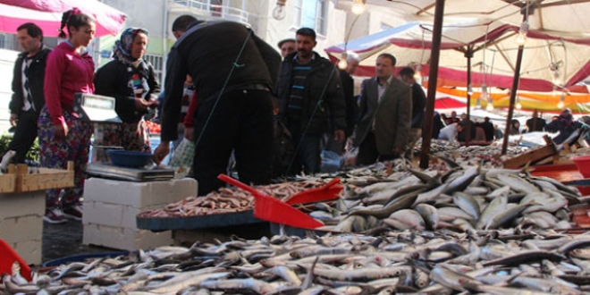 Balık fiyatları yarıya düştü
