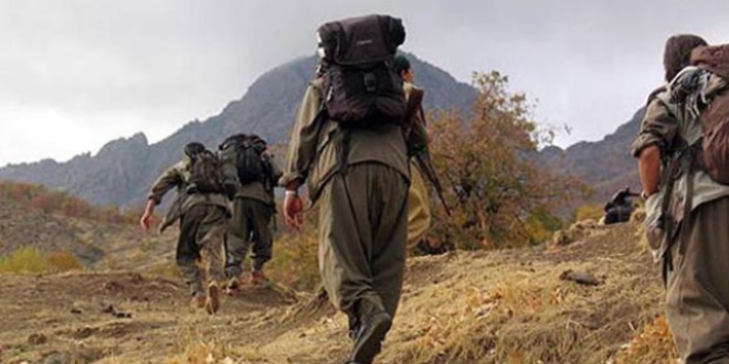 PKK'nın iki bölge sorumlusu yakalandı