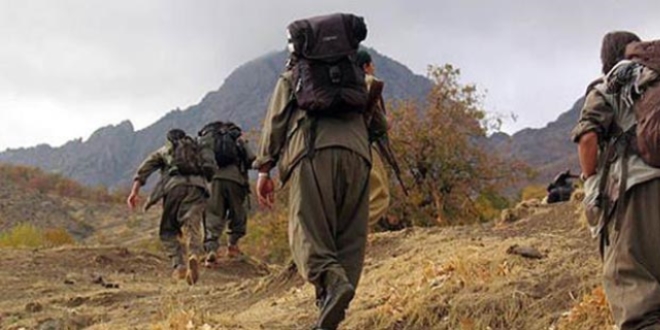 PKK'nn iki blge sorumlusu yakaland