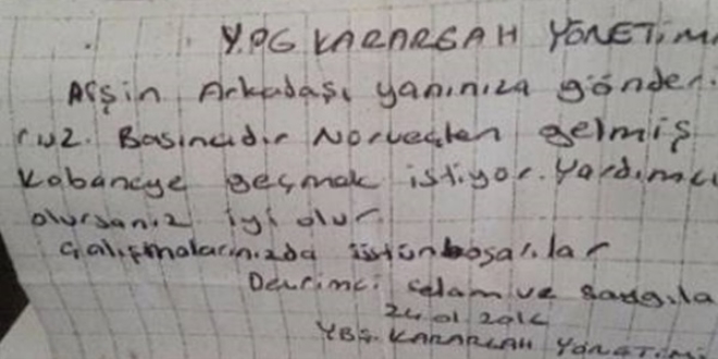 Diyarbakr'da yakalanan Norveli'den YPG notu