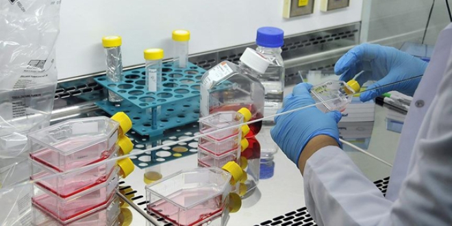 İlaçta molekül üretimine Türk imzası