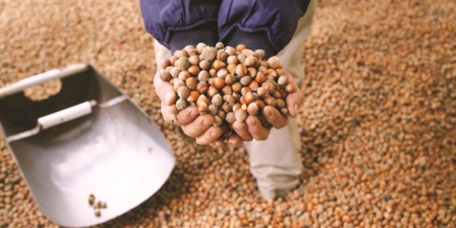 F�nd��� serbest piyasa vurdu