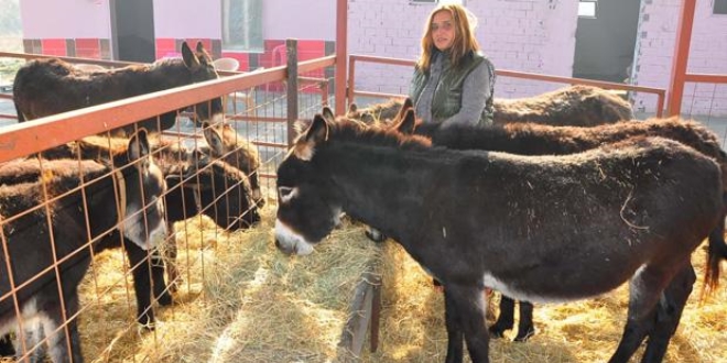 Eşek sütü 100 liraya çıktı, eşek karaborsaya düştü