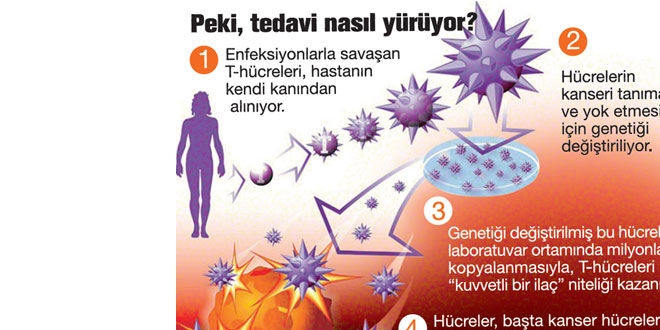 'T-hücre tedavisi' kanseri alt edecek mi?