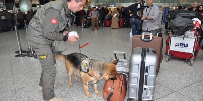 Havalimanı'nda K-9 köpekleri bomba izi sürüyor
