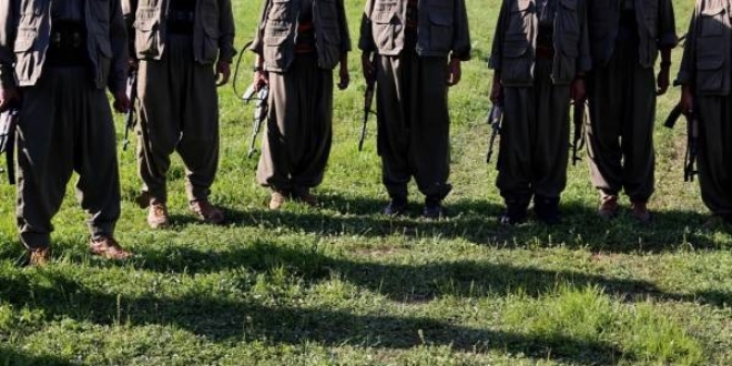 Mardin'de 2 PKK'l terrist ldrld