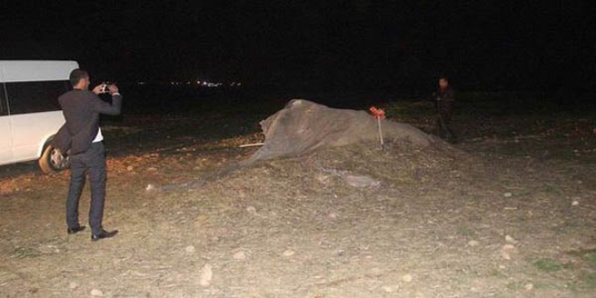 PYD'den PKK'lılara gönderilen cephanelik samanlıkta çıktı!