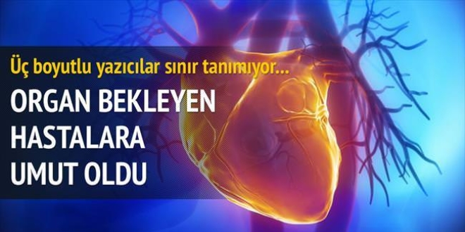 3D ile 'donörsüz' organ nakli devri