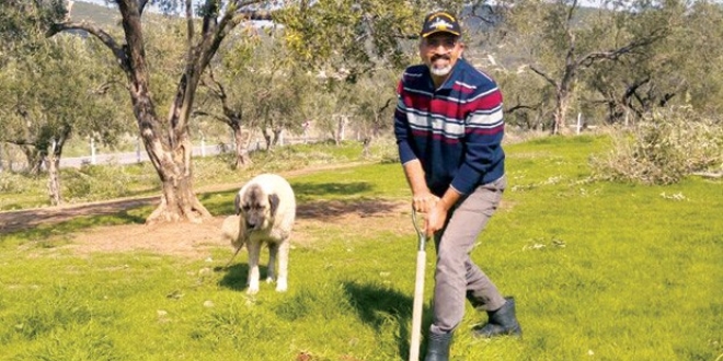 Kumpasla değişen hayatlar