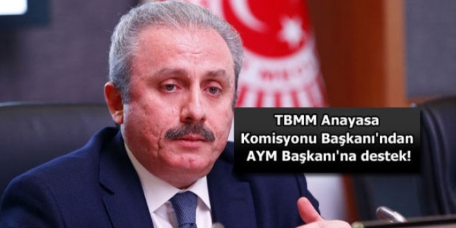 Mustafa Şentop'tan AYM Başkanı'na destek