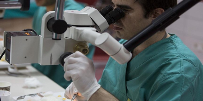 GATA'da mikrocerrahi e�itimi