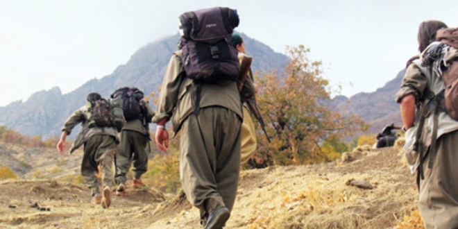 Hakkari'de bir terörist teslim oldu