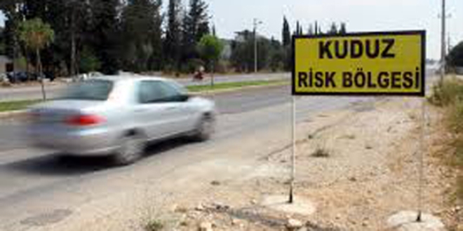 Mersin'de 7 mahalle kuduz risk bölgesi ilan edildi
