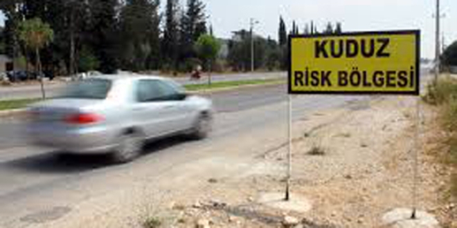 Mersin'de 7 mahalle kuduz risk blgesi ilan edildi