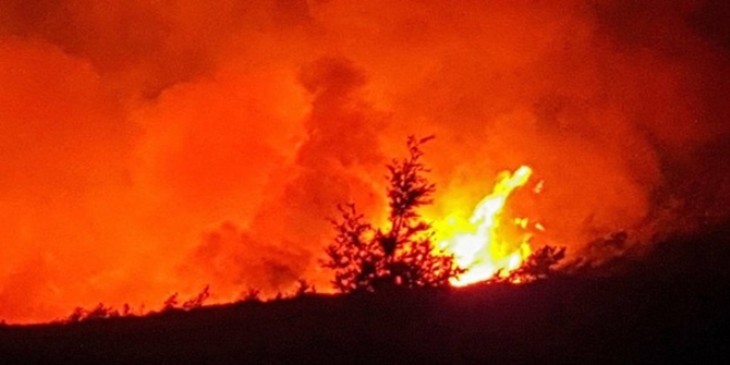 Arcnn hatas Marmaris'te 60 hektar kzlam ormann yok etti