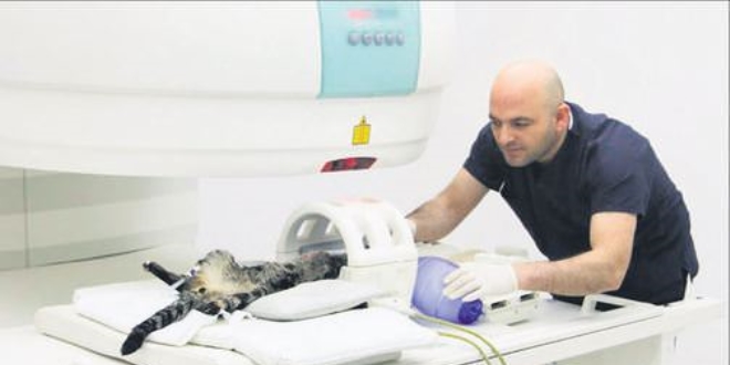 'Can dostlar' için kaçak MR'a son