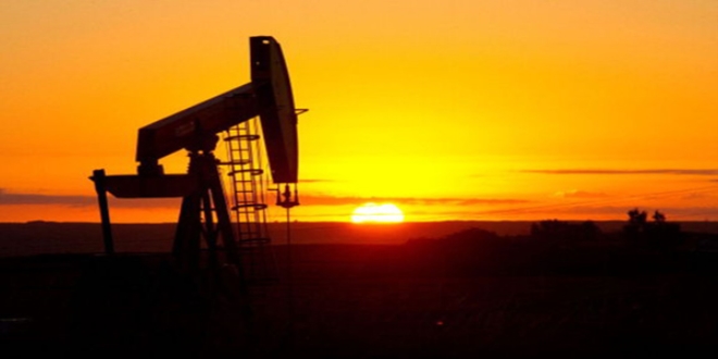 OPEC'in petrol retimi ubatta dt