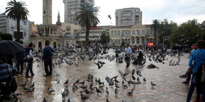 G�vercin ba��na 526 lira