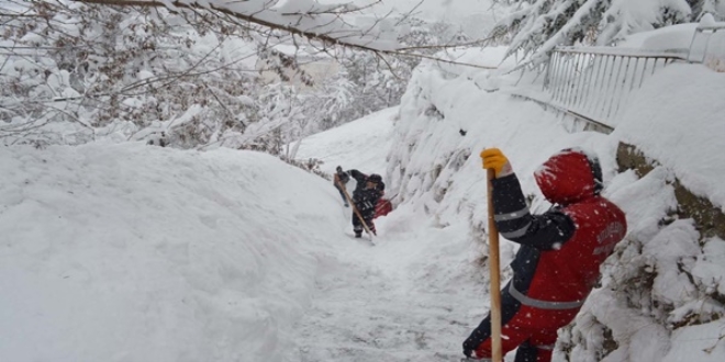 Bitlis'te kar nedeniyle 44 kye ulam salanamyor