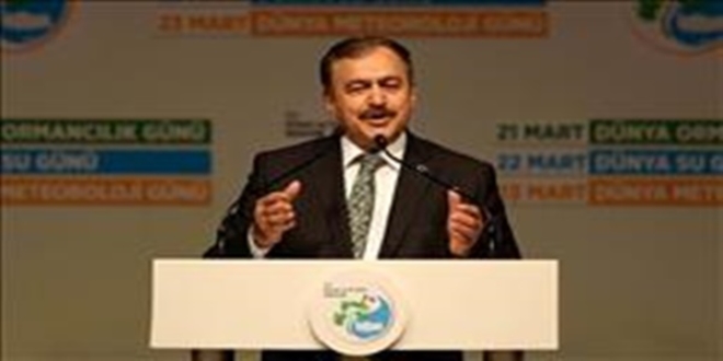 'Dünyadaki herkes için Türkiye'de bir fidan dikeceğiz'