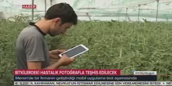 Bitkisel hastalıkların teşhisinde teknolojik çözüm
