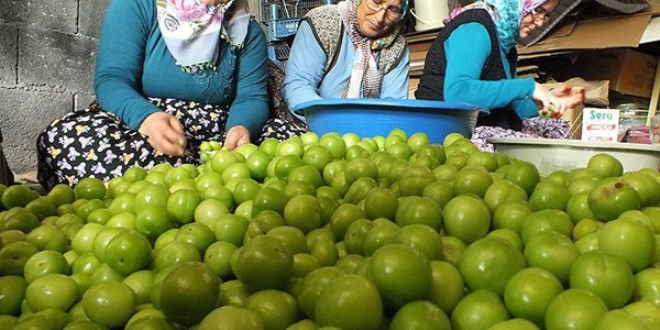 Eriğin fiyatı 30 liraya düştü