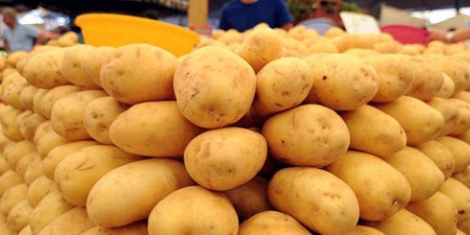 Elde kalan patateste ihracat sevinci