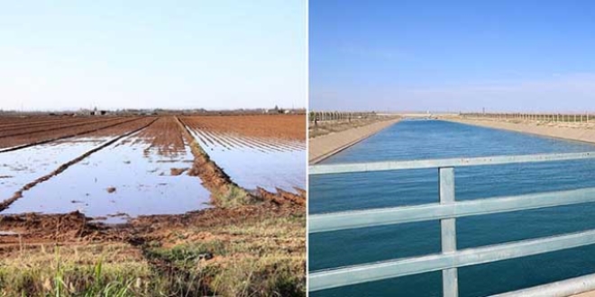 Harran'ın suyu boşa akıyor