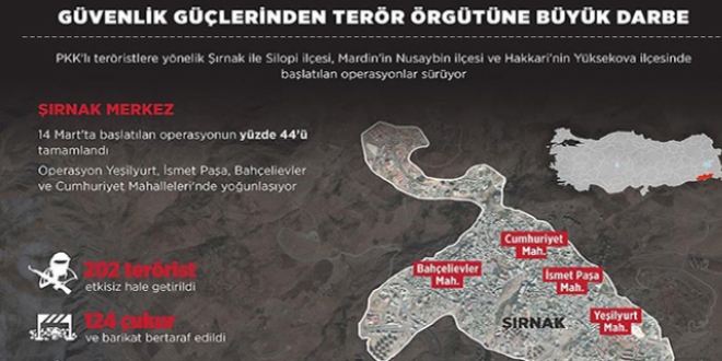 Güvenlik güçlerinden terör örgütüne büyük darbe