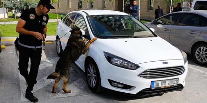 S�n�r kap�lar�ndaki s�per burun k�peklerden hi�bir �ey ka�m�yor