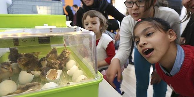 Beypazar�'nda 'Kanatl� ��renciler' projesi