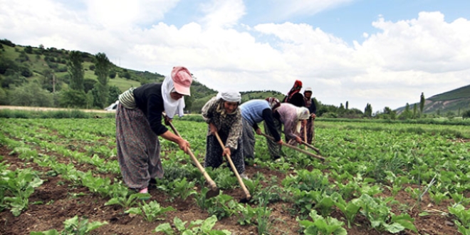 TEB'den �ift�ilere �zel y�zde 50'ye varan faiz indirimi